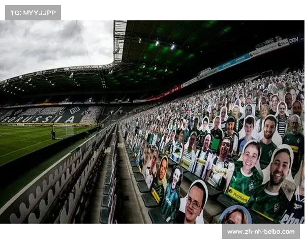 德甲球队本土球迷数量及忠诚度调研报告 德甲球队本土球迷数量及忠诚度调研报告