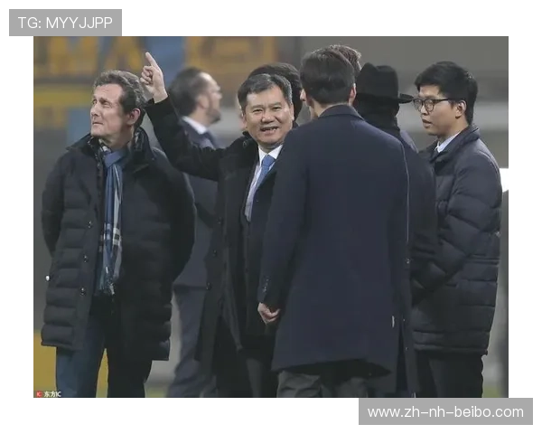 张近东投资意甲球队：合作背景与未来规划