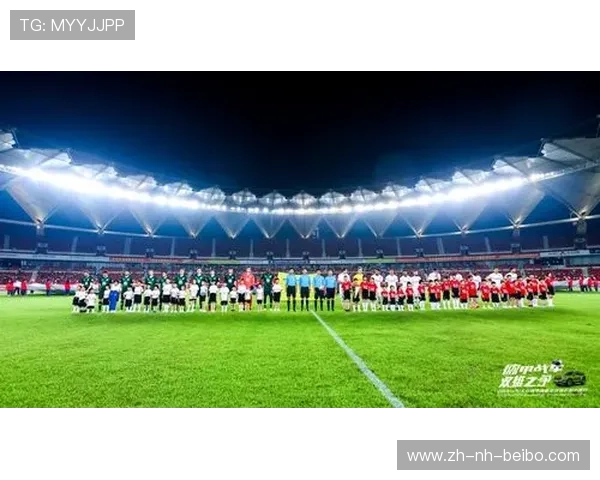 德甲球队本土球迷数量及忠诚度调研报告